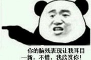 暴走熊猫人娱乐吃瓜,揭秘娱乐圈背后的那些事儿